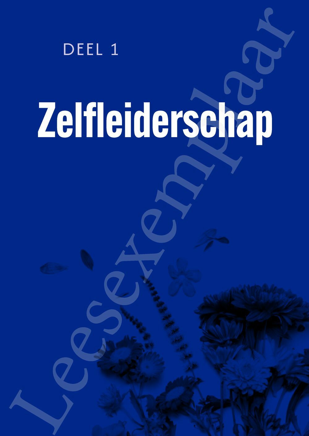 Preview: Leiderschap Ontrafeld