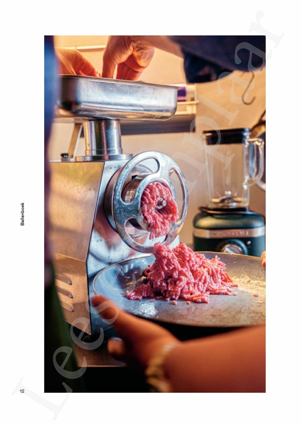 Preview: Ballenboek