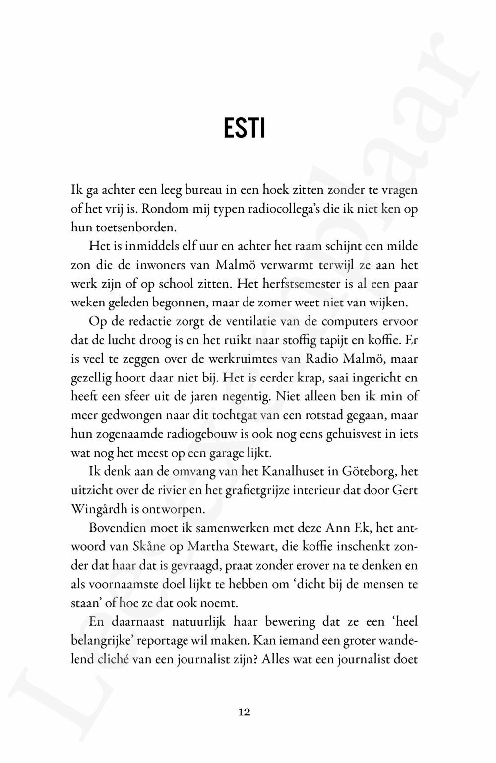 Preview: De grootste artiest (De radiohelden 1)