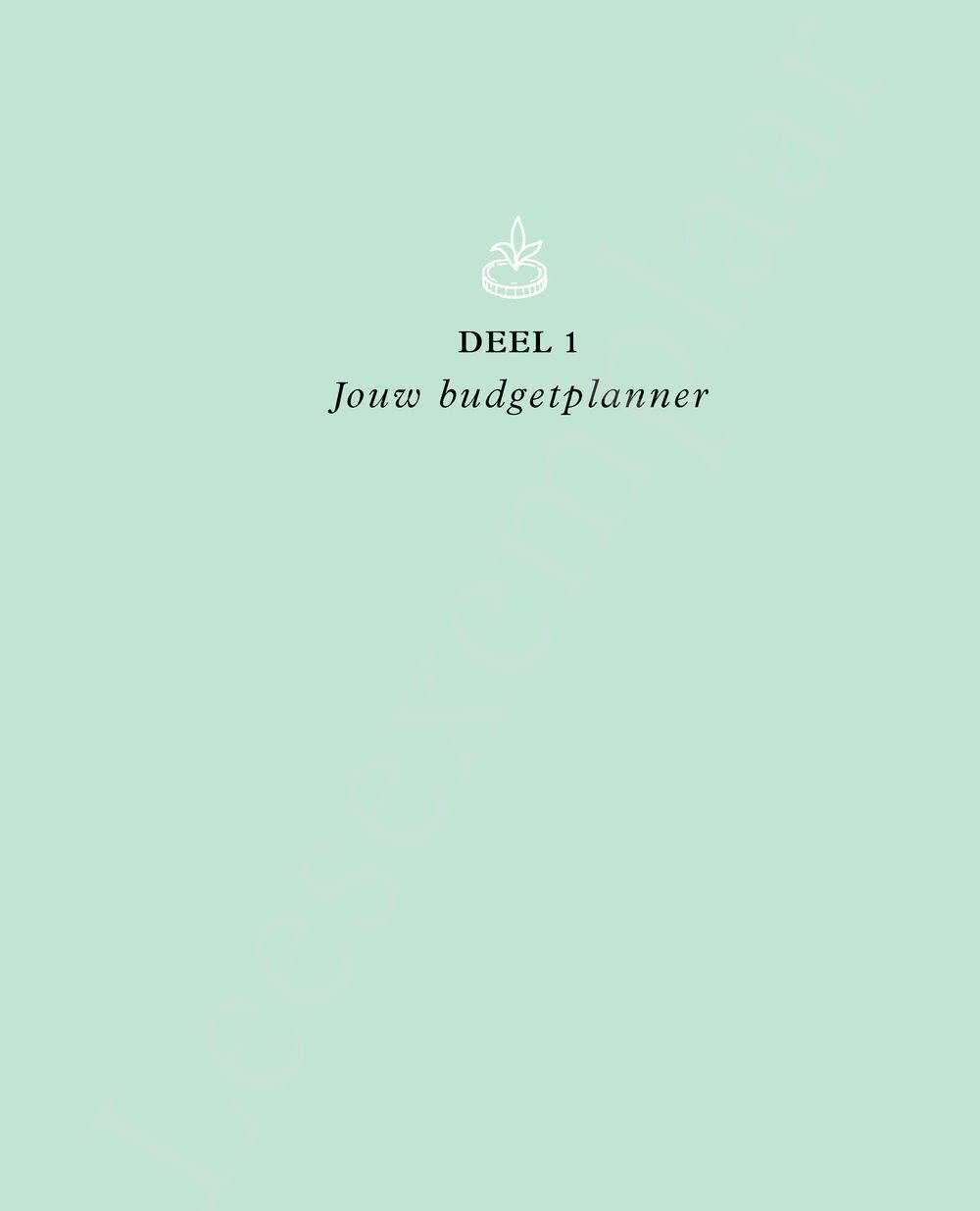 Preview: Jouw budgetplanner