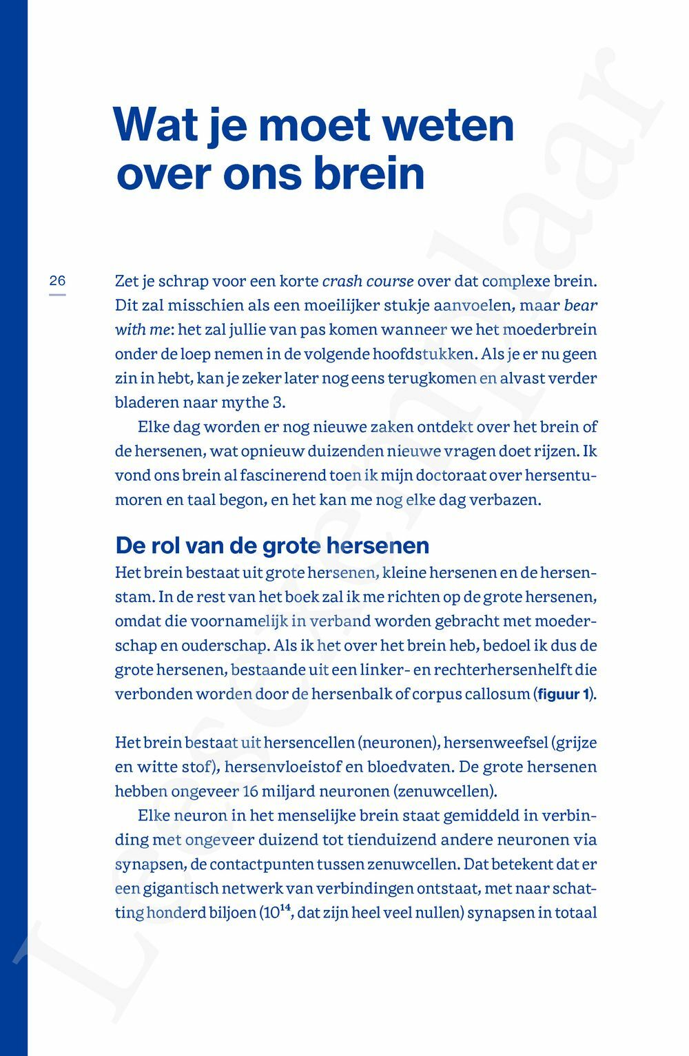 Preview: De moederbreinmythe