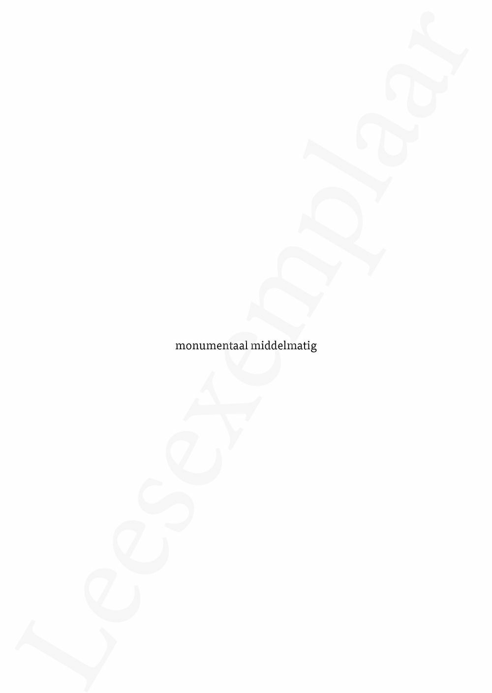 Preview: Monumentaal middelmatig