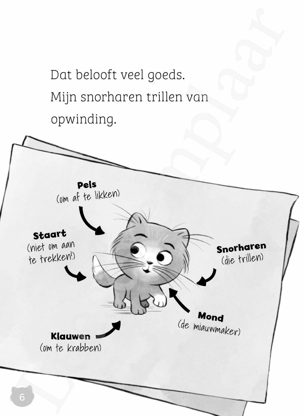 Preview: Ienie Mienie Kitti