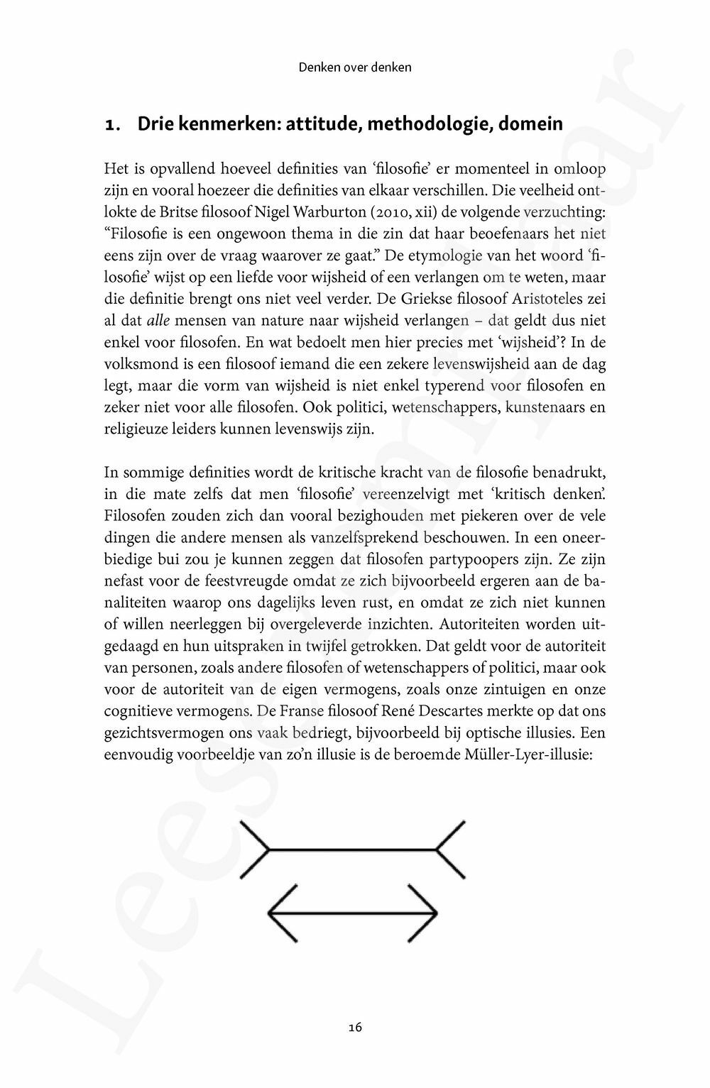 Preview: Denken over denken (herwerkte uitgave)