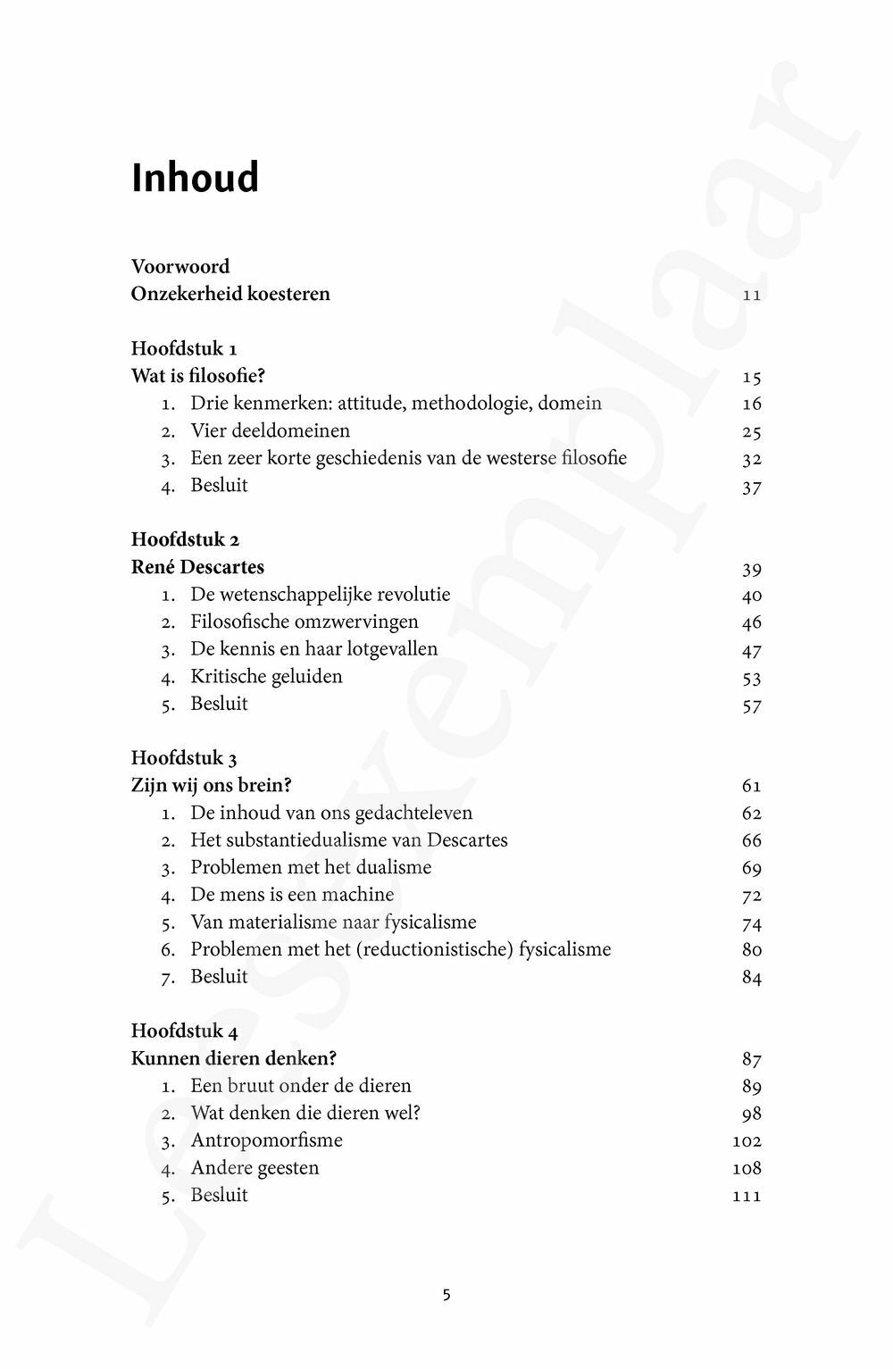 Preview: Denken over denken (herwerkte uitgave)