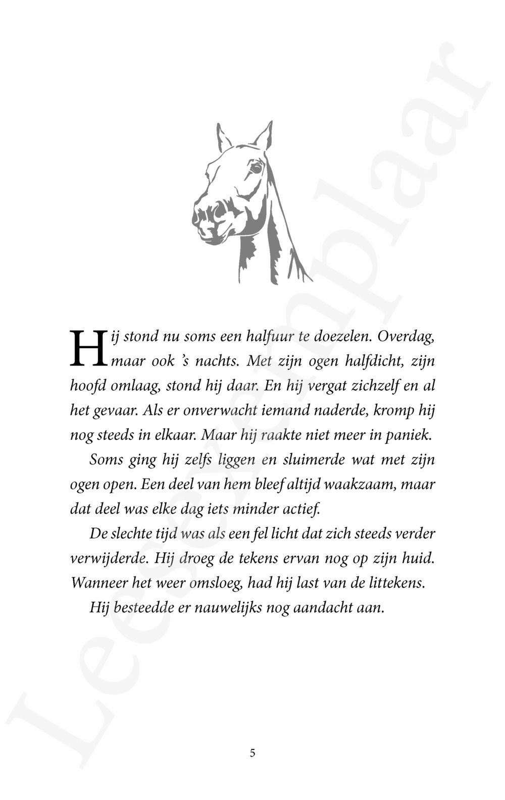 Preview: De Paardenfluisteraar 9 - Cyprians terugkeer