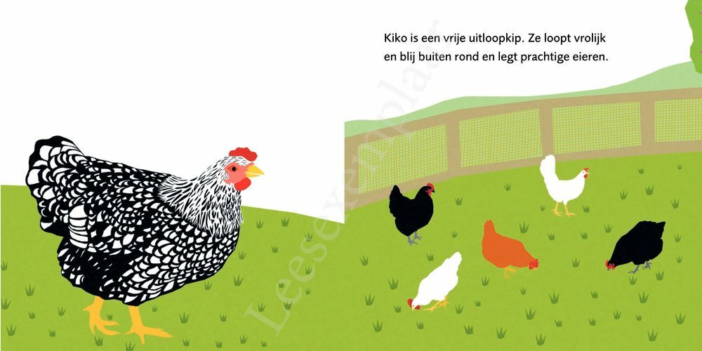 Preview: Kiko Kip legt een ei