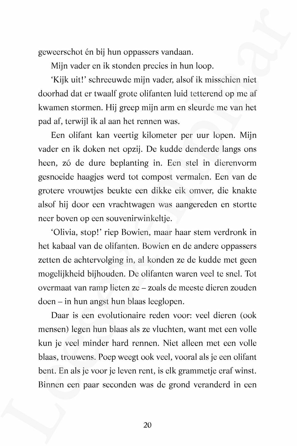 Preview: Fun Jungle: De wilde jacht