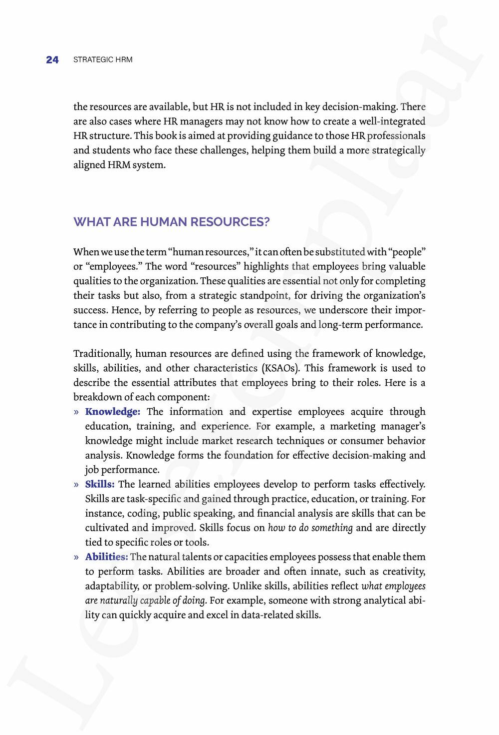 Preview: Strategic HRM in Action: Bridging Theory and Practice