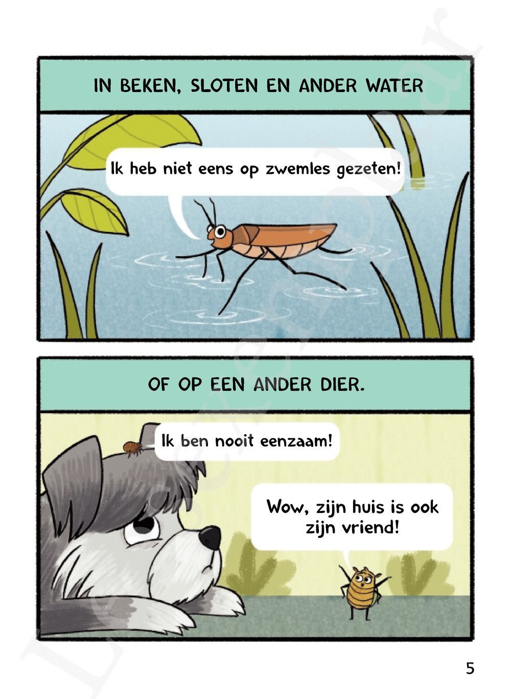 Preview: Koosje kever woont hier (AVI E4)