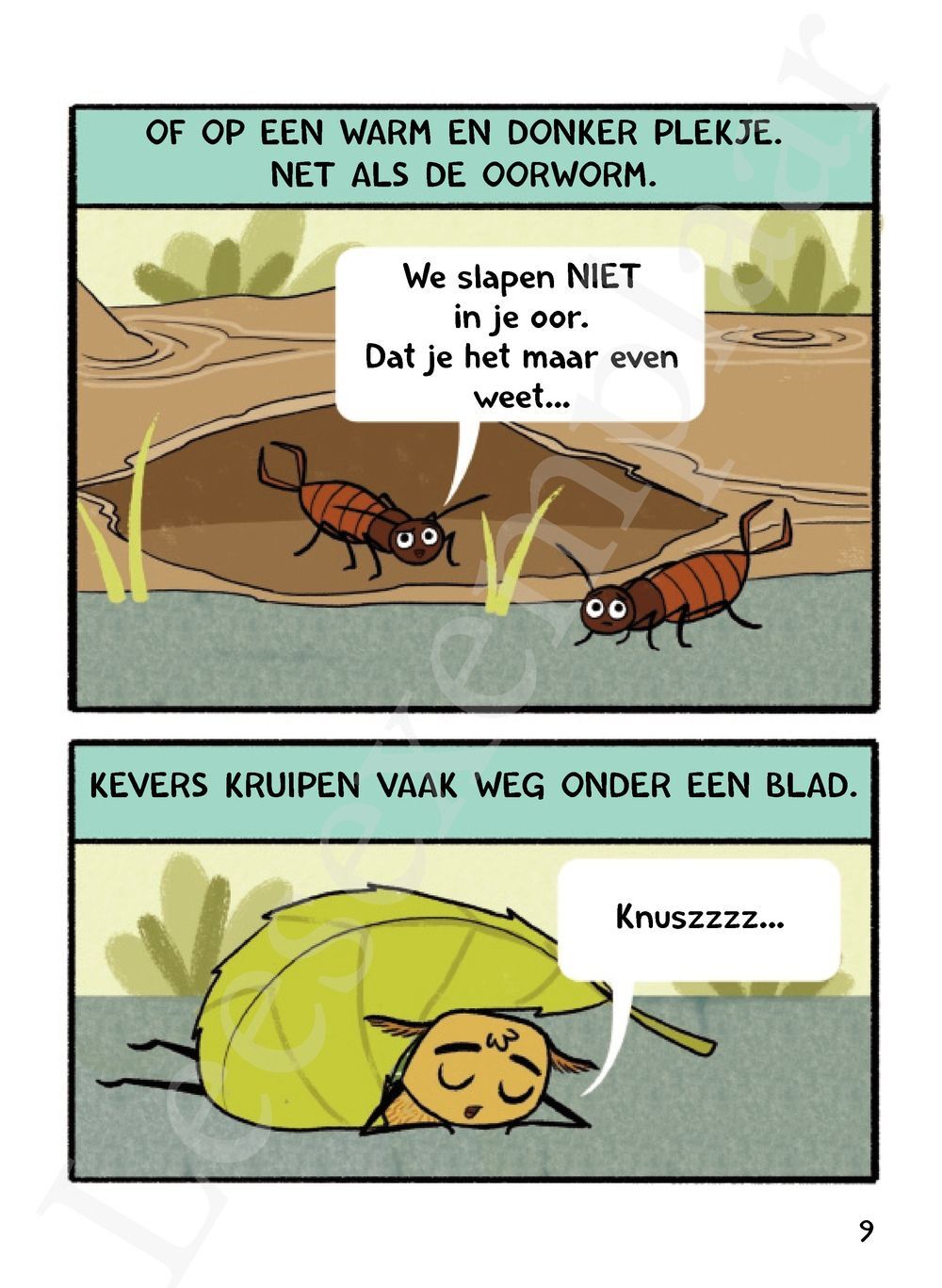 Preview: Koosje kever woont hier (AVI E4)