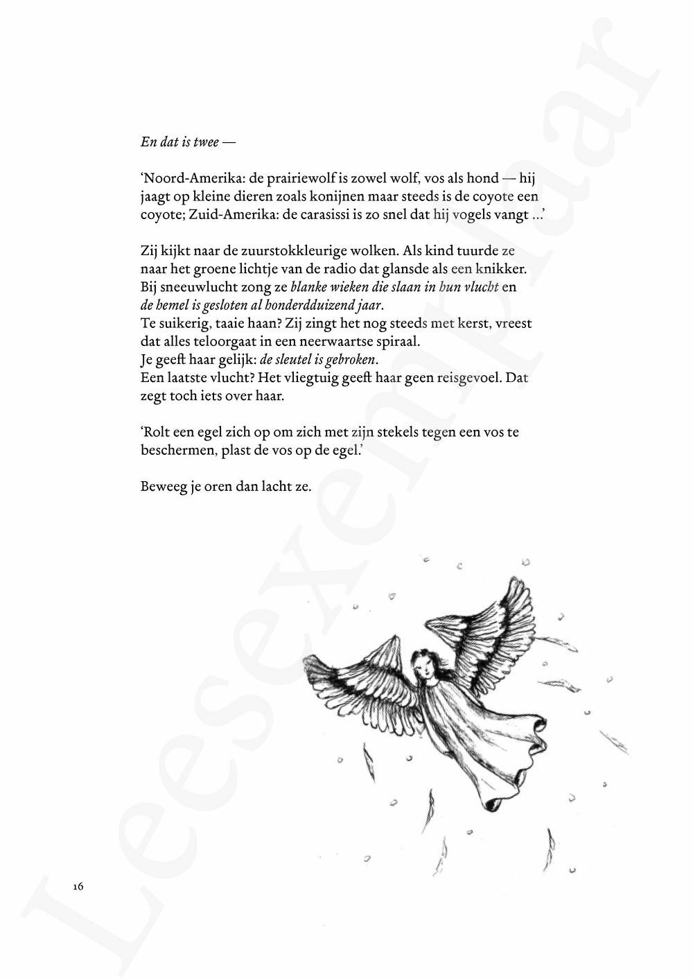 Preview: roodvos