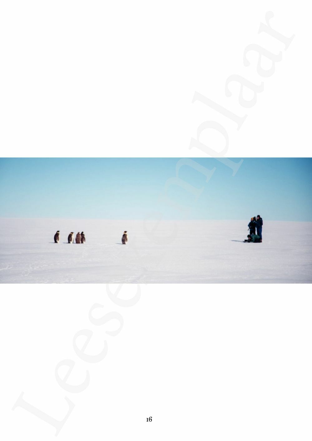 Preview: 2050: Antarctica