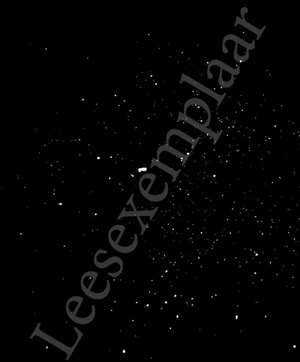 Preview: Olifantenvleugels