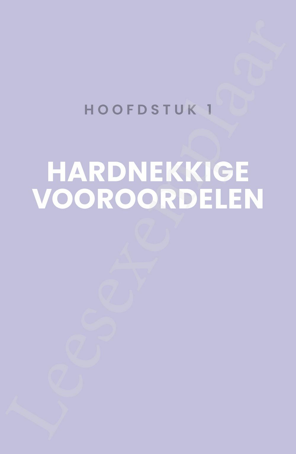 Preview: Hoofddoek op het werk