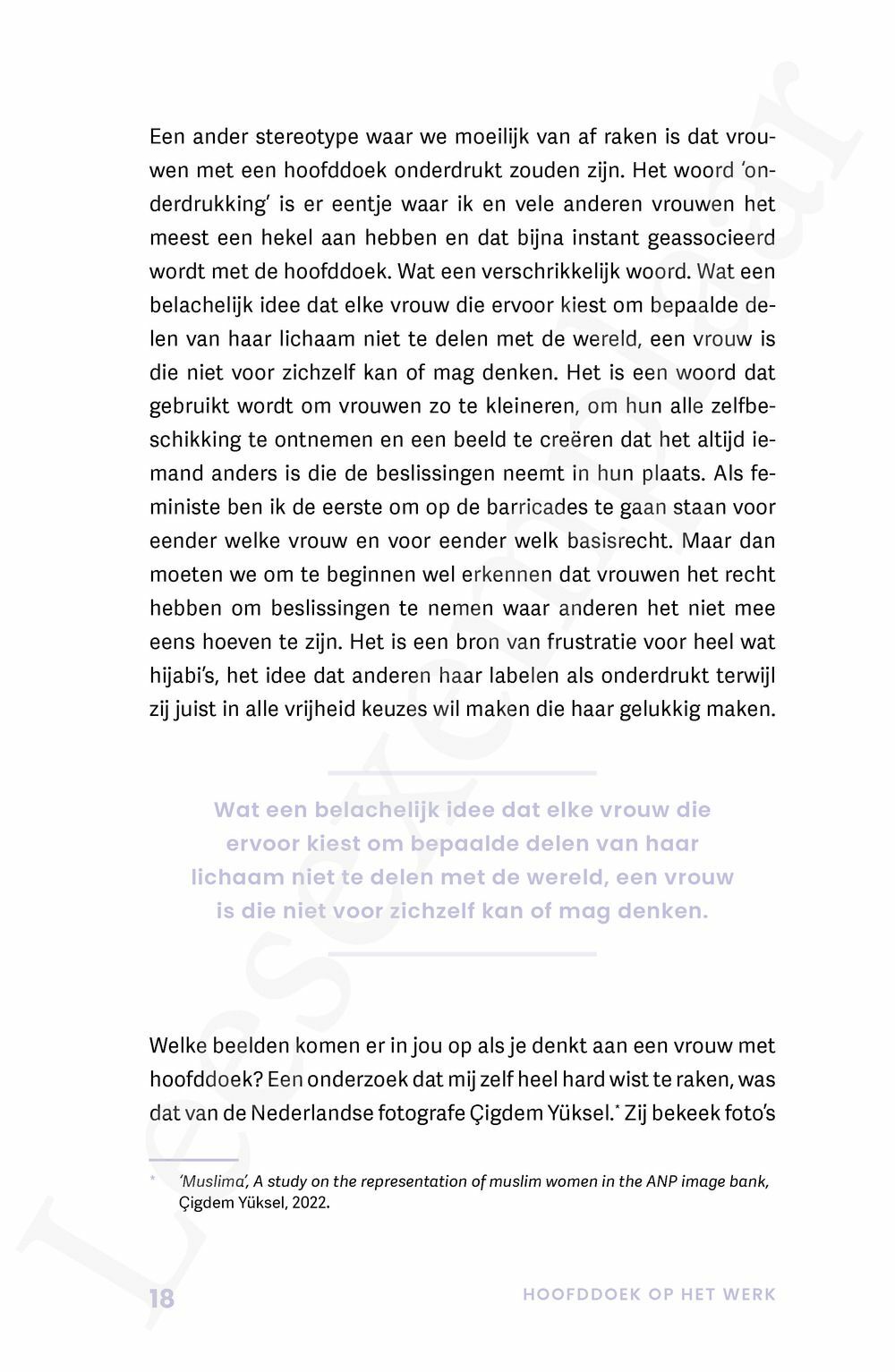 Preview: Hoofddoek op het werk