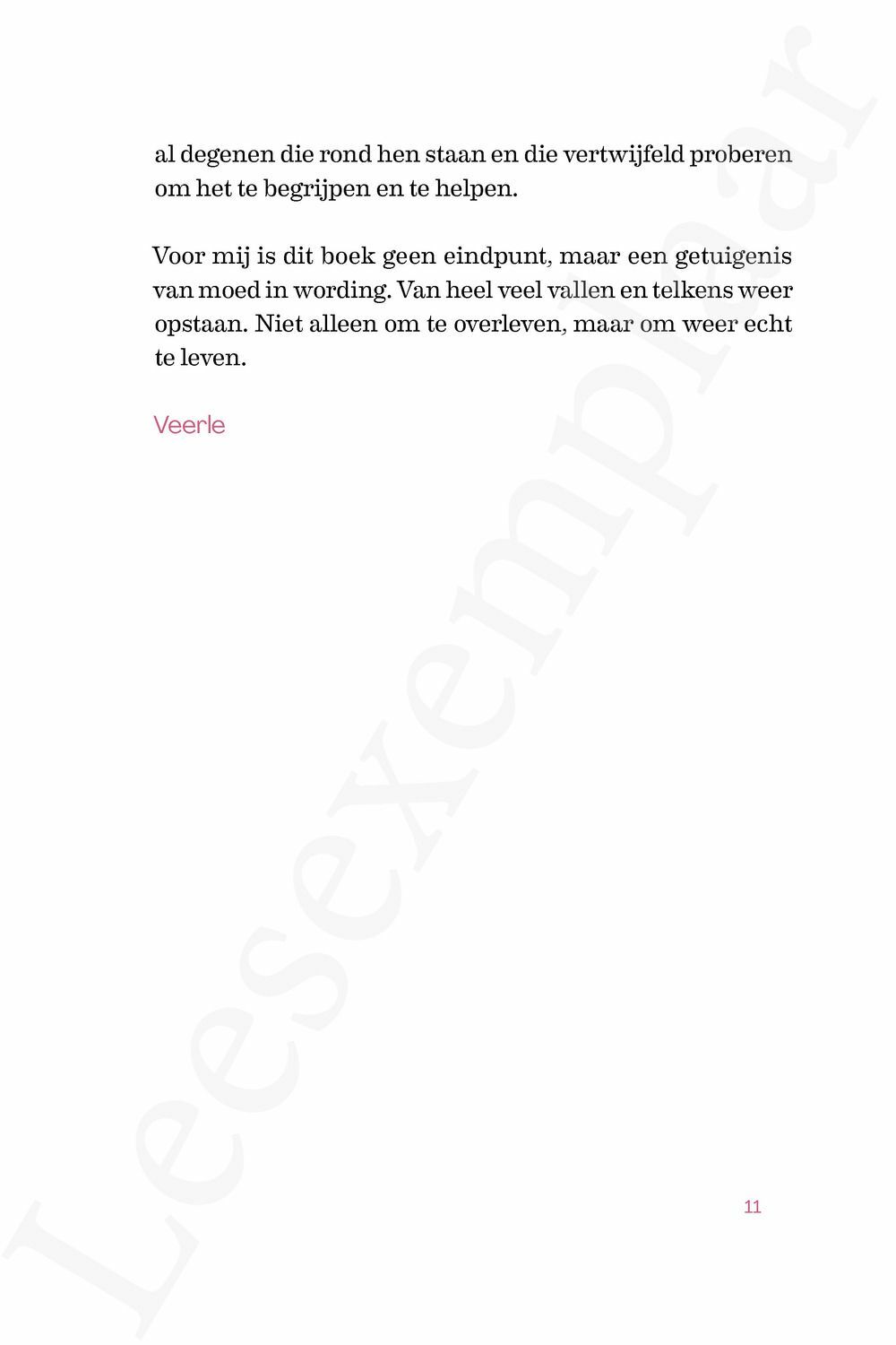 Preview: De stem van mijn stilte