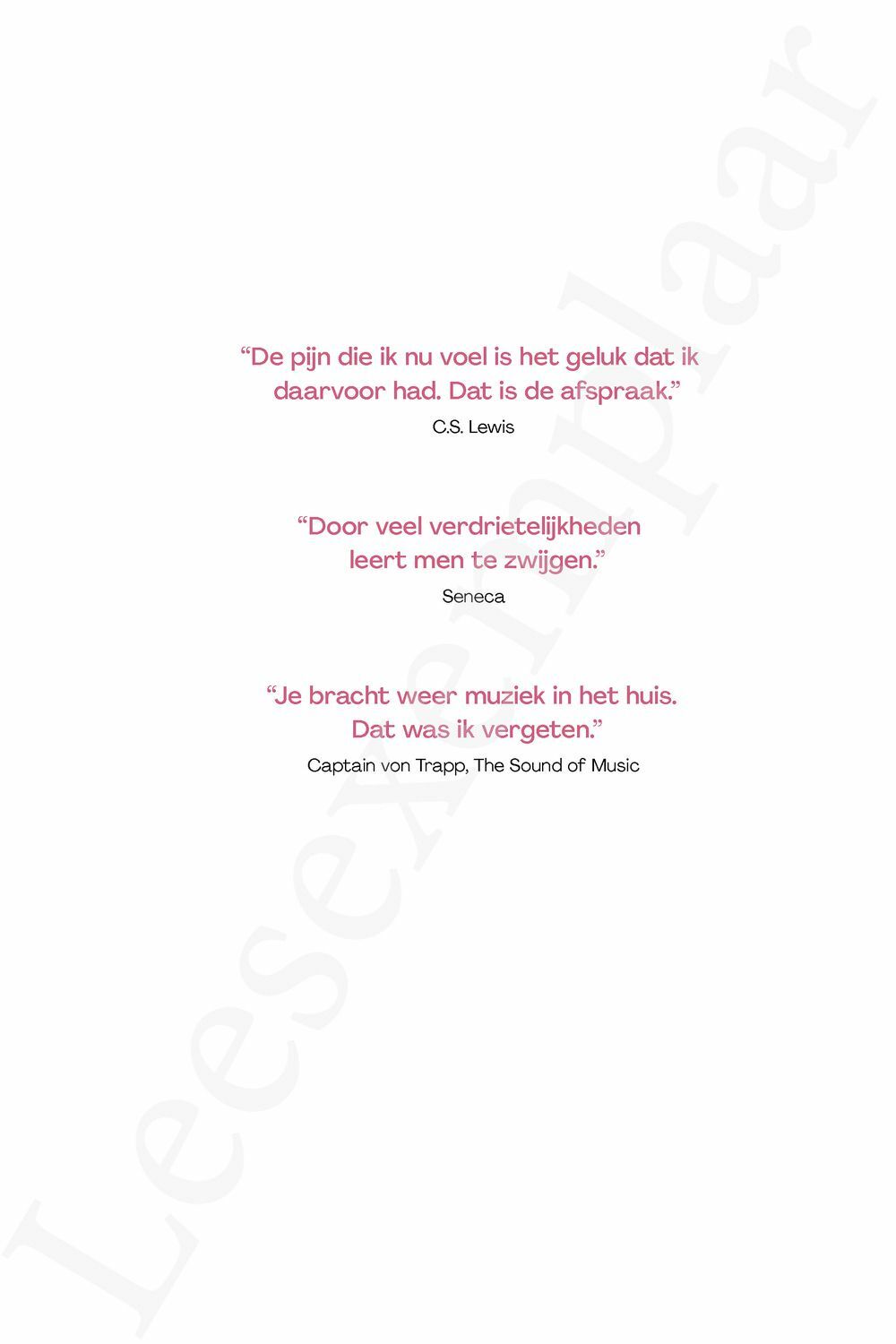 Preview: De stem van mijn stilte