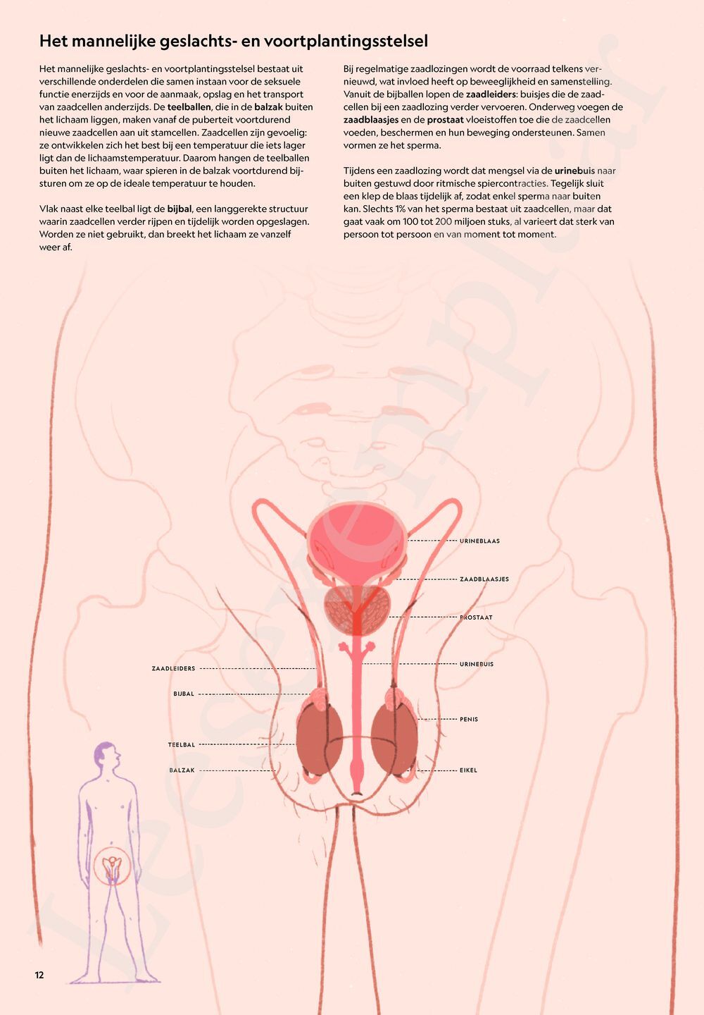Preview: In verwachting