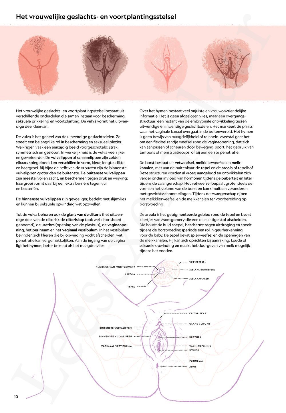 Preview: In verwachting
