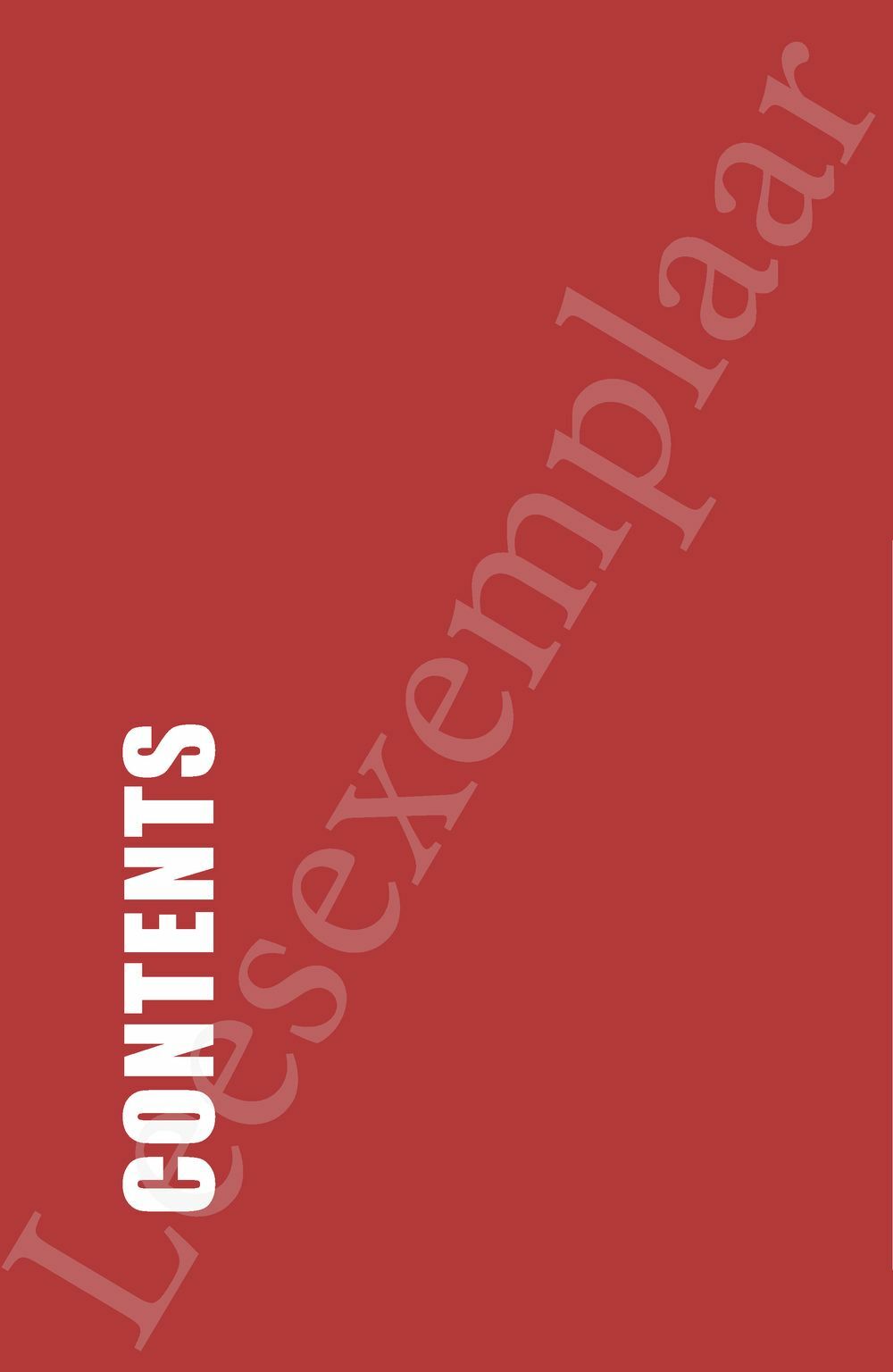 Preview: C-suite Mindset (English edition)