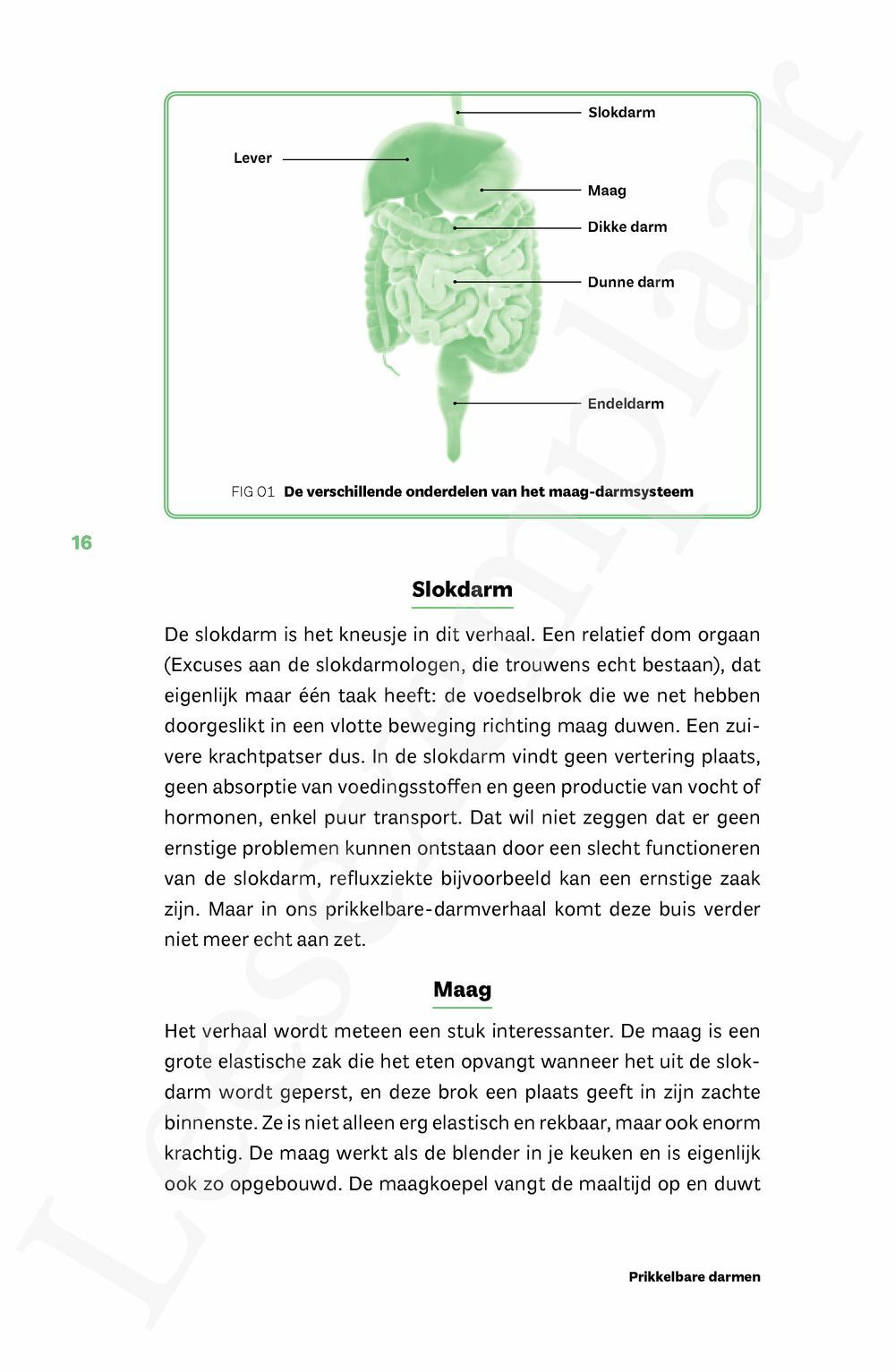 Preview: Prikkelbare darmen