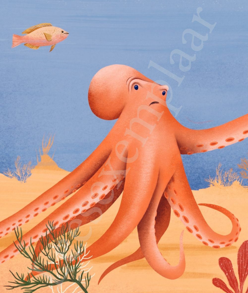 Preview: Octopus droomt van een lief