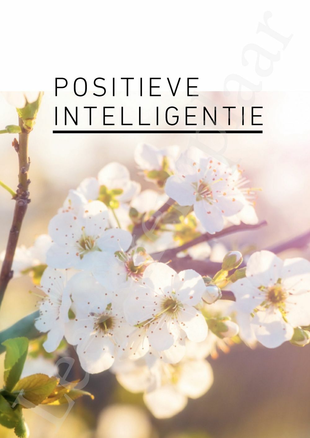 Preview: Positieve intelligentie
