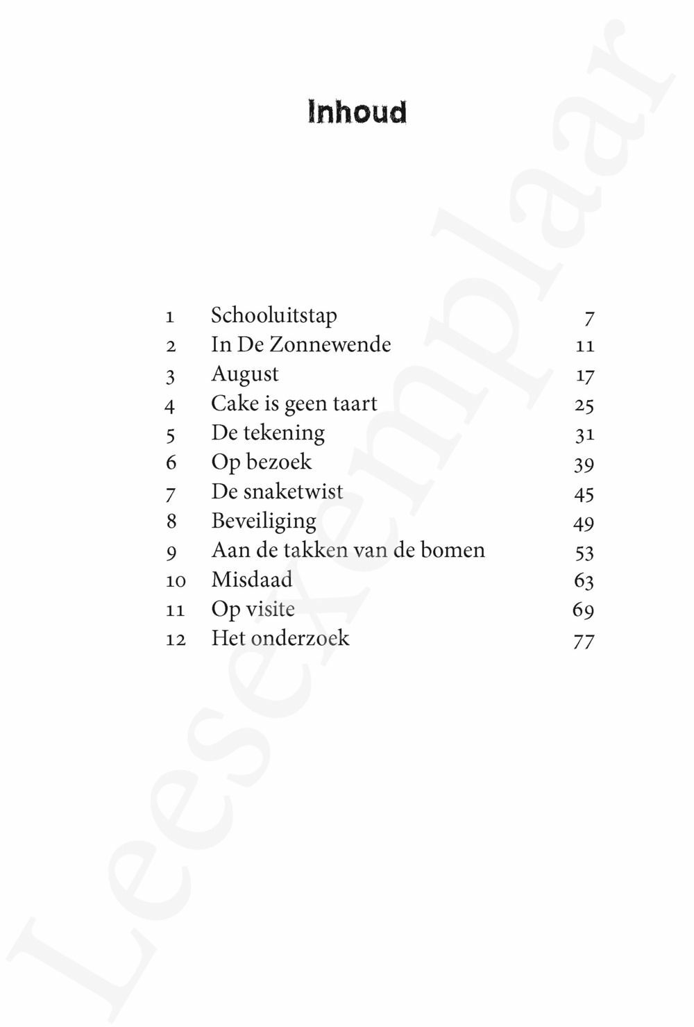 Preview: Schimmen in de nacht