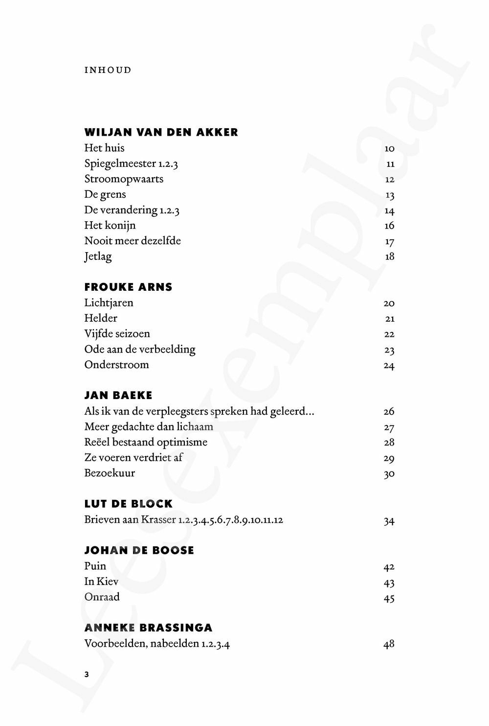 Preview: Het Liegend Konijn (jg. 20 nr. 2)