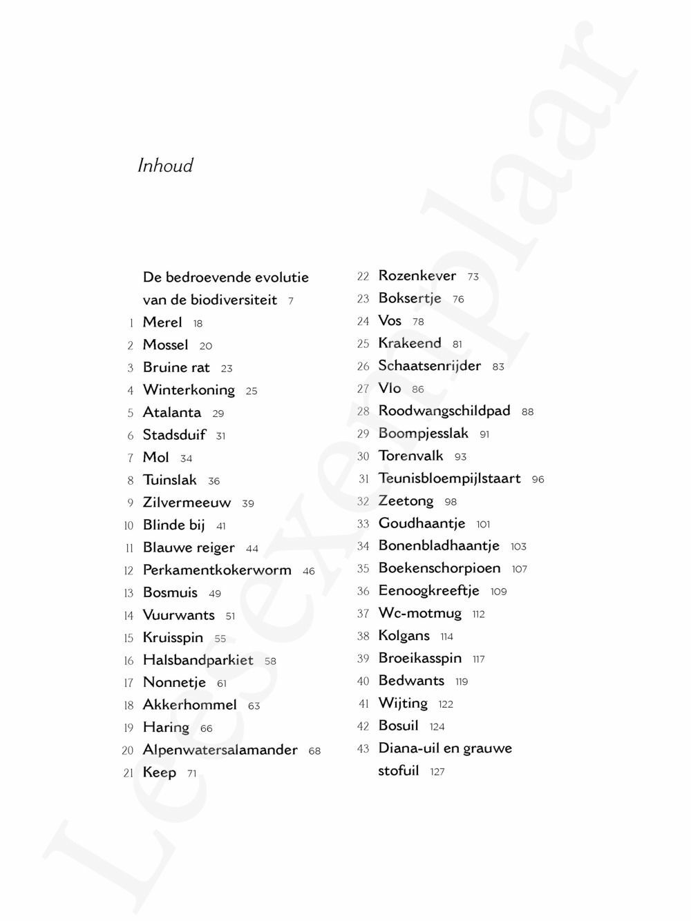 Preview: Beestenboel Bis Bis