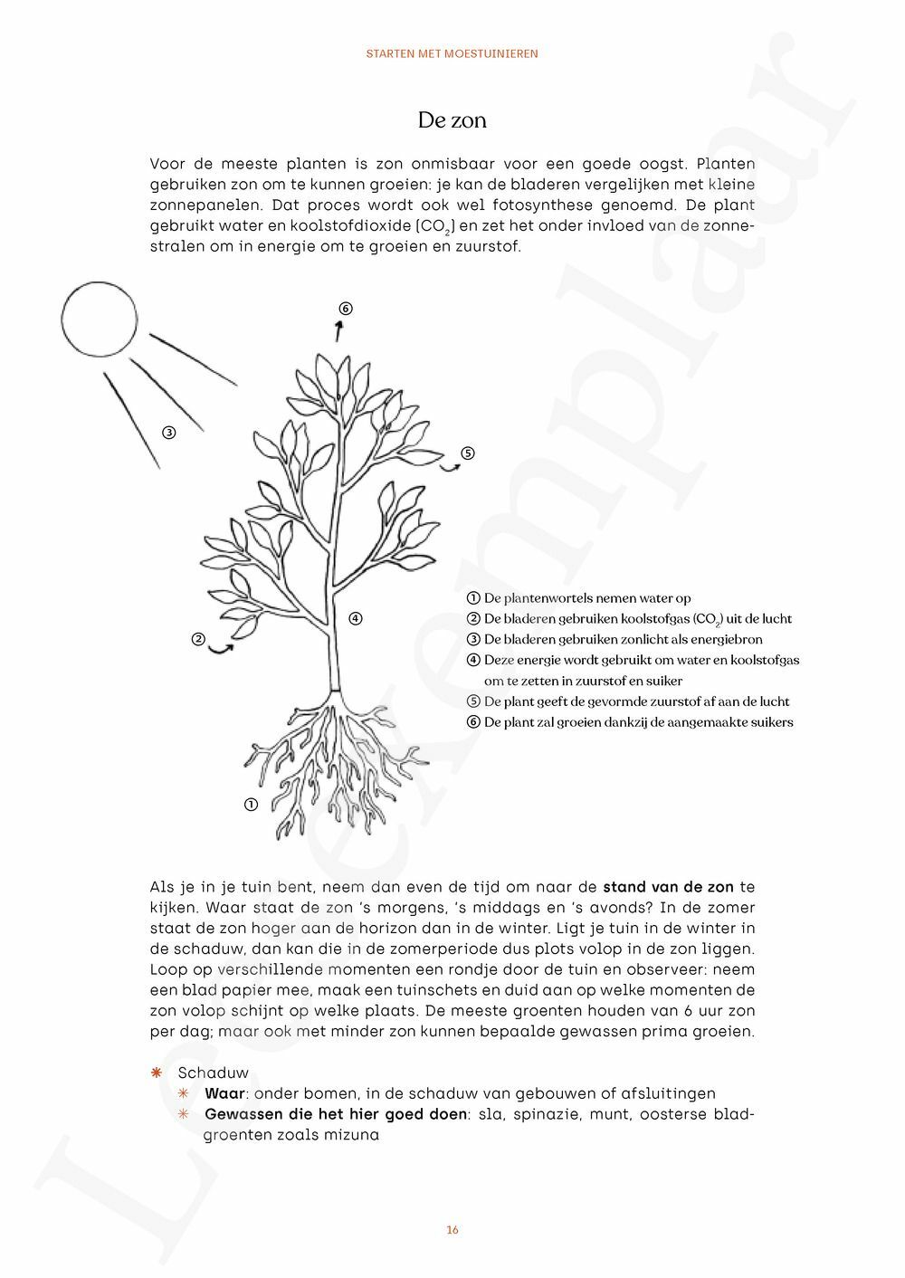 Preview: Iedereen kan moestuinieren