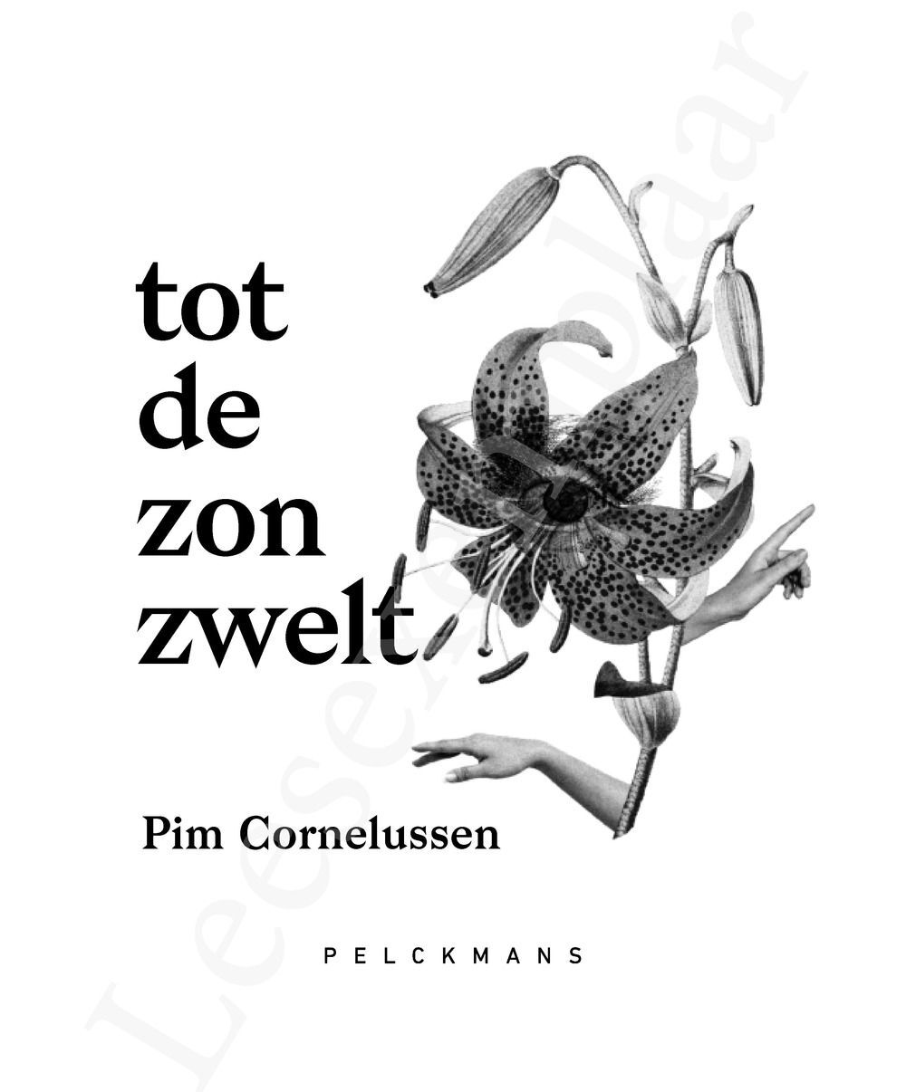 Preview: Tot de zon zwelt