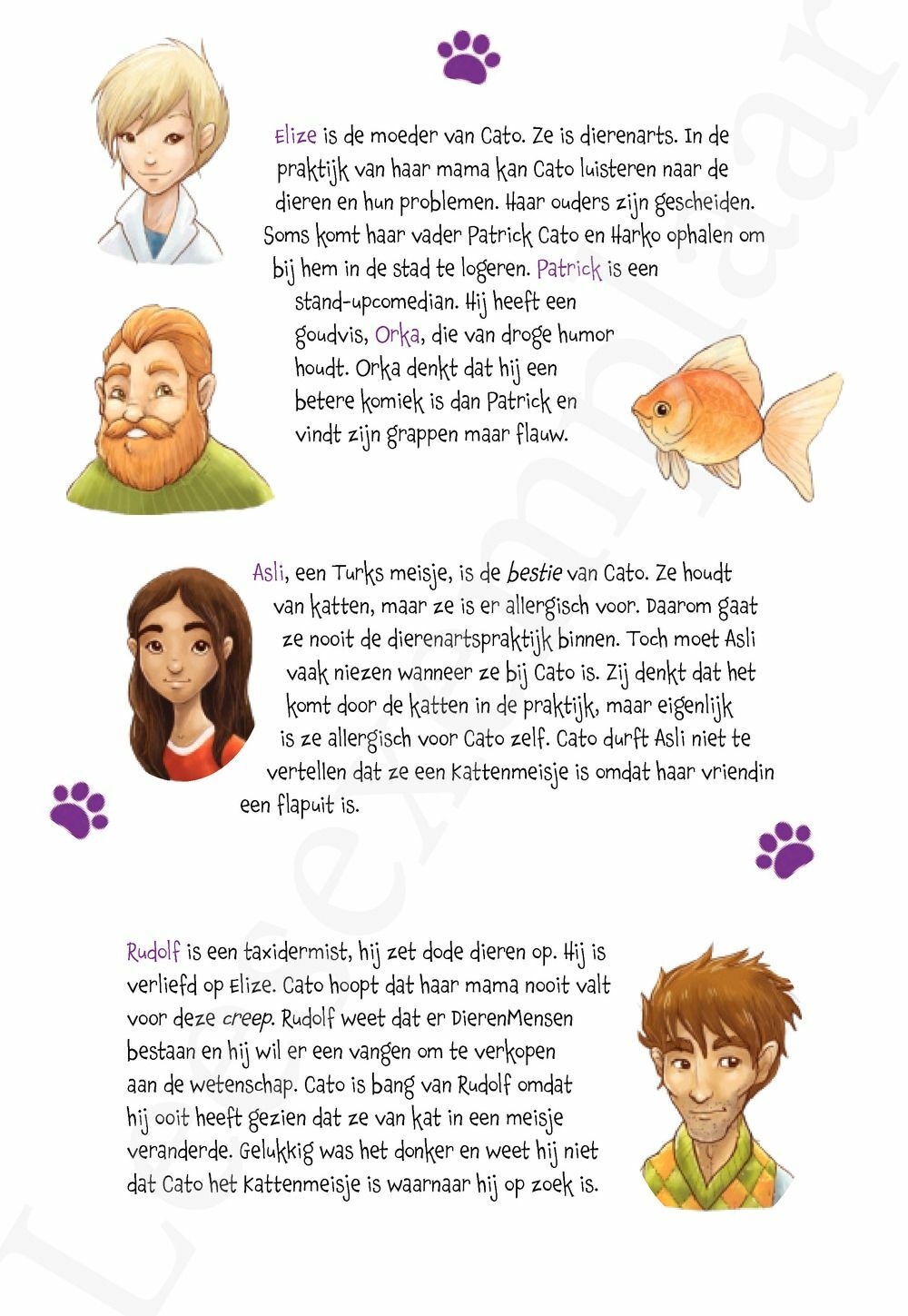 Preview: Het kattenmeisje 3 - Een schat van een kat