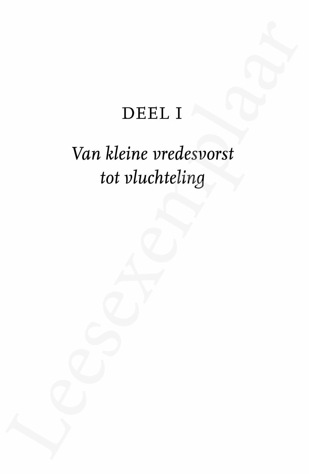 Preview: Het adelaarsjong