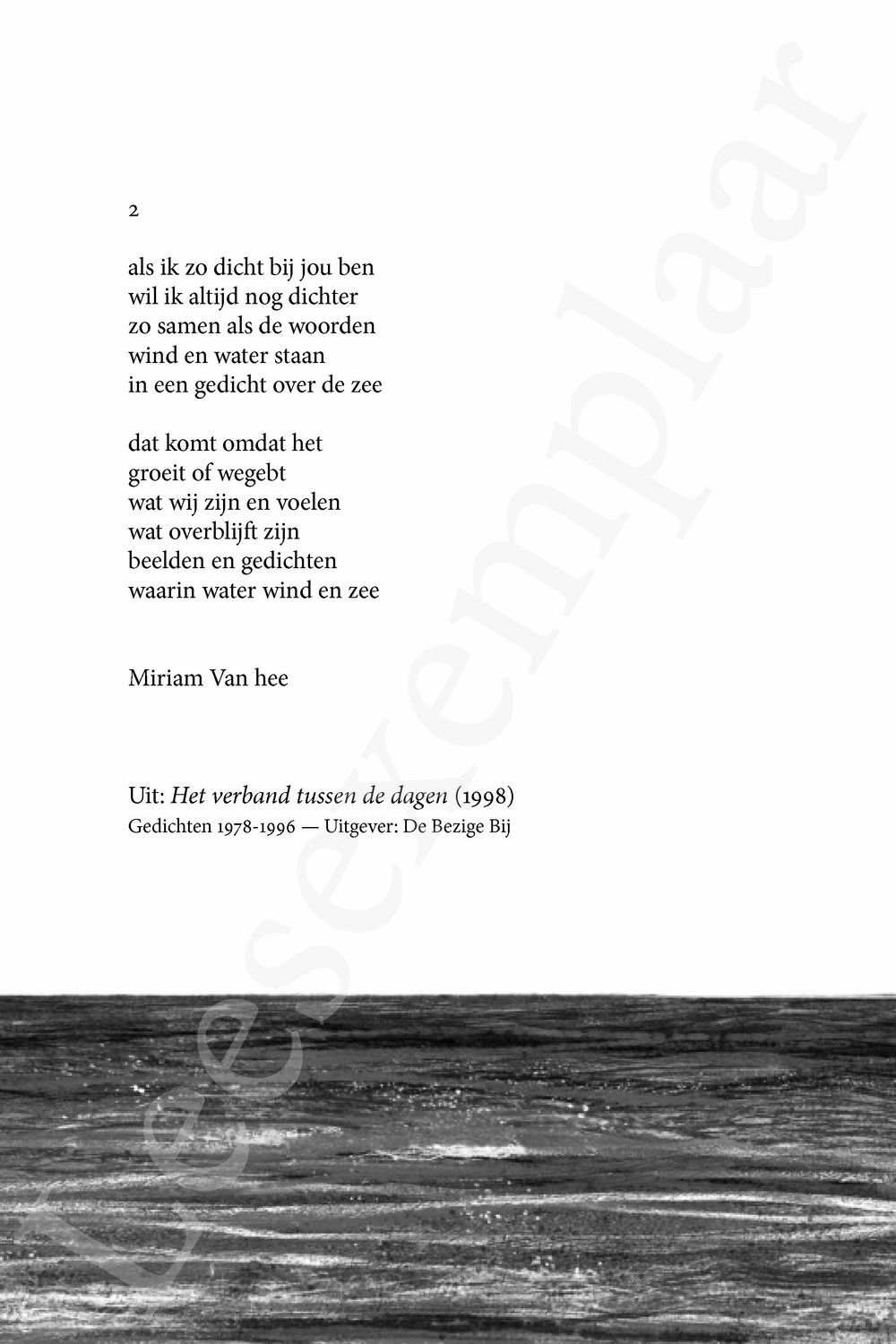 Preview: In mijn hart woont een meeuw