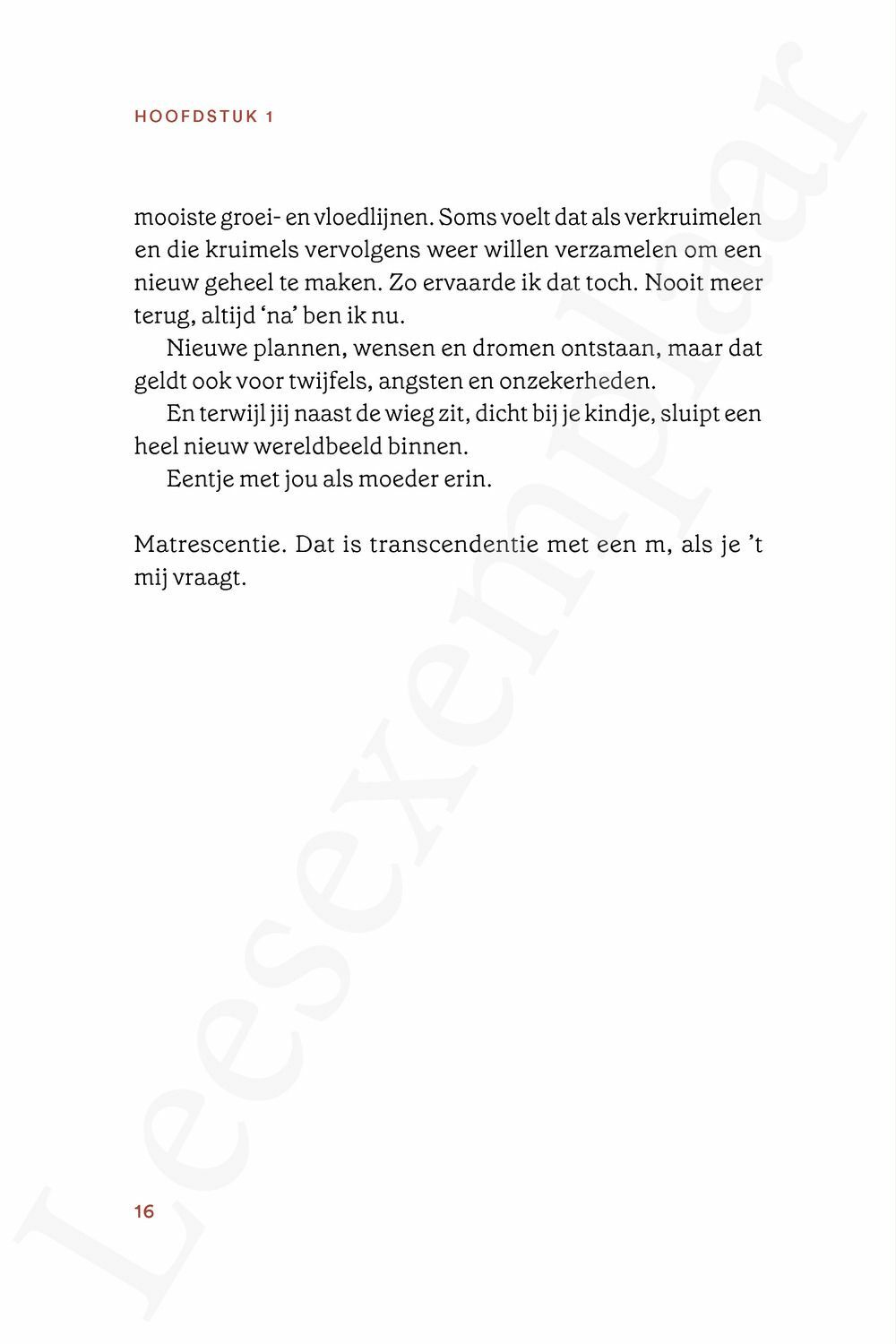 Preview: De vrouw in de moeder