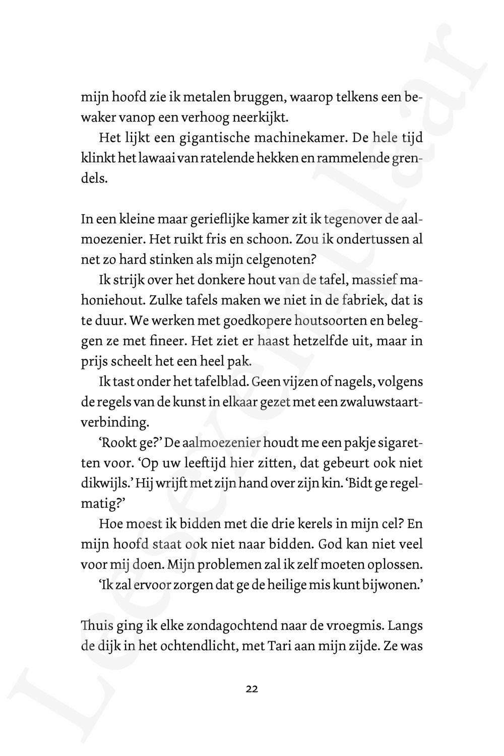 Preview: Zwaluwstaarten
