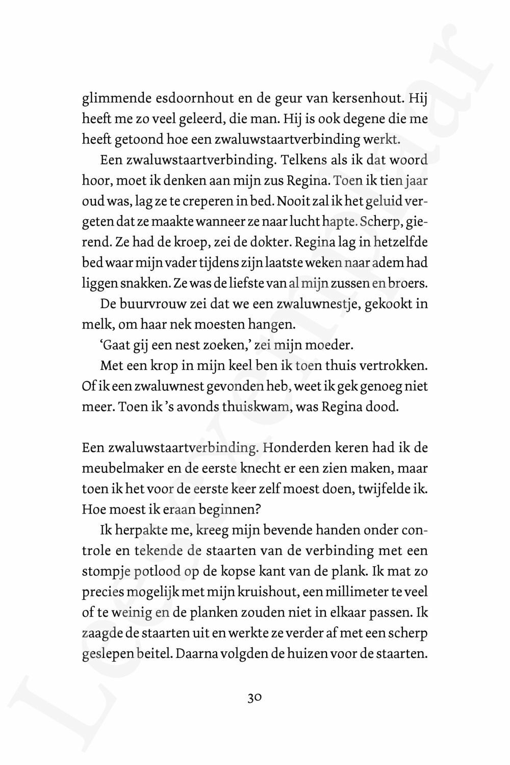 Preview: Zwaluwstaarten
