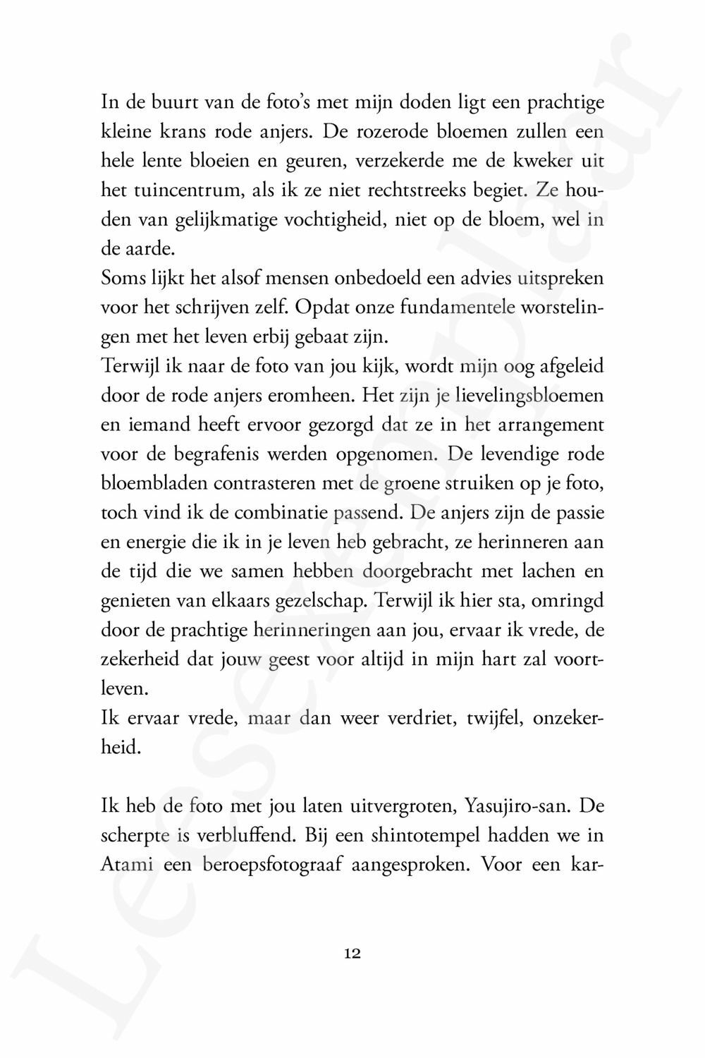 Preview: Zonde van de hemel