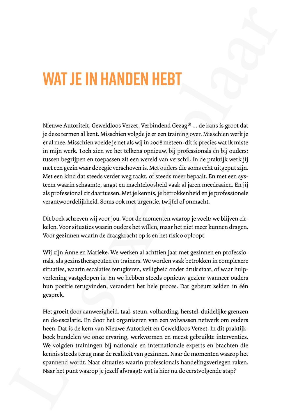 Preview: Krachtig Werk: De praktijk van Geweldloos Verzet