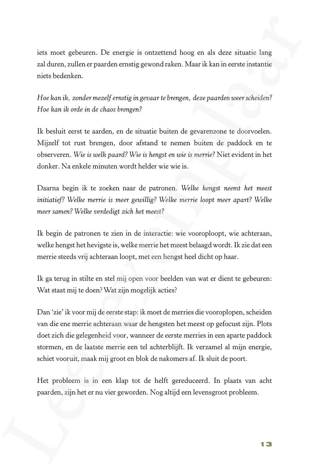 Preview: Het pad van de hengst