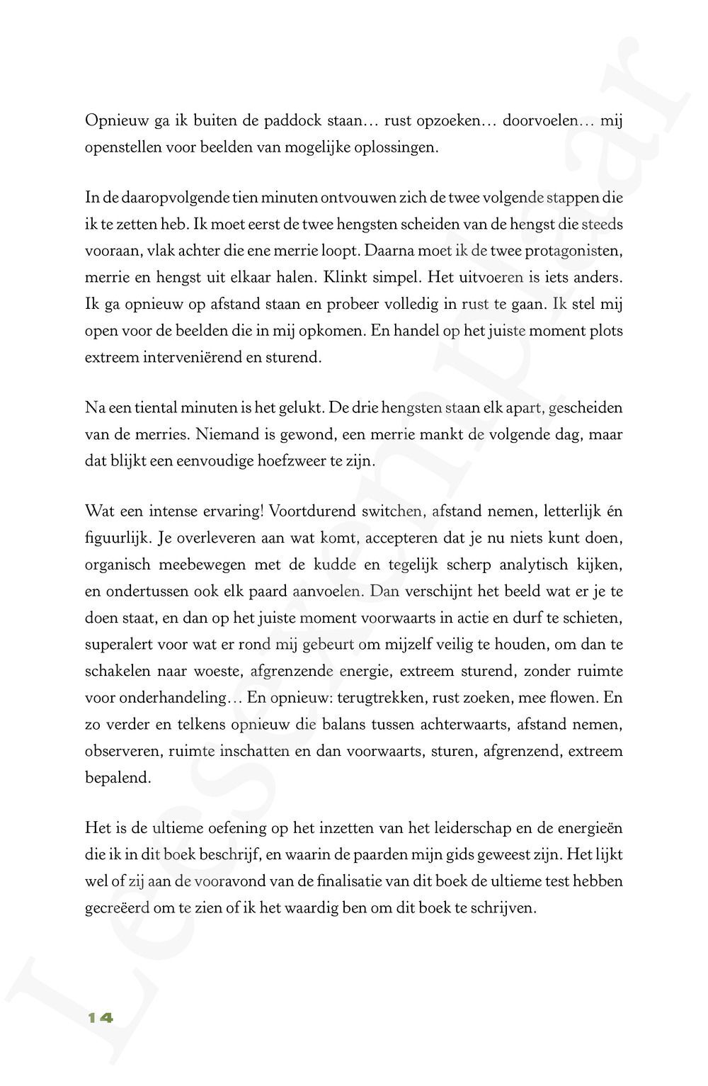 Preview: Het pad van de hengst