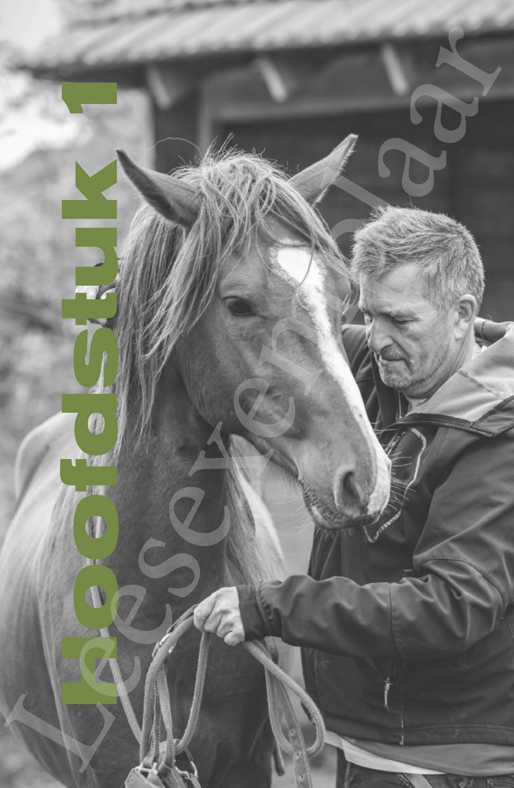 Preview: Het pad van de hengst