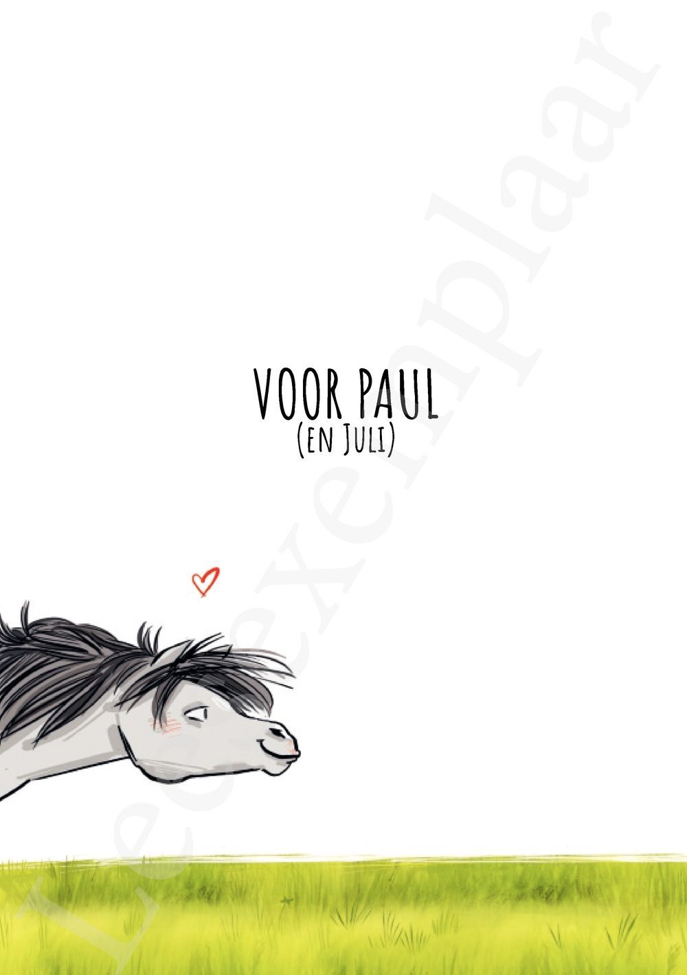 Preview: Verjaardag(en) met Juli