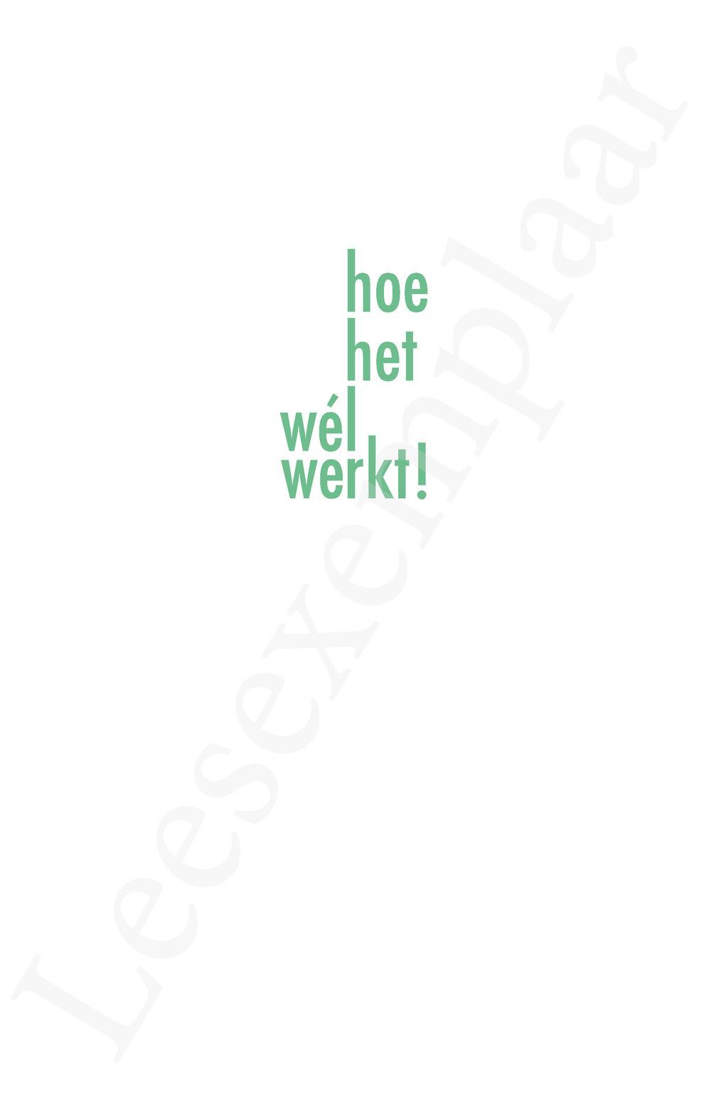 Preview: Hoe het wel werkt!