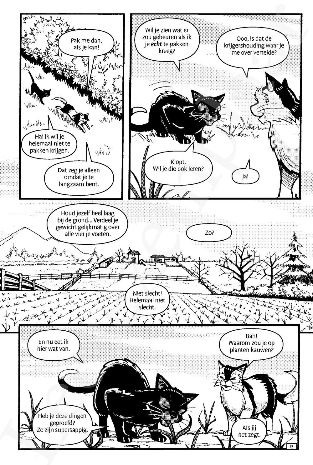 Preview: Warrior Cats - Manga: Ravenpoots pad - Verstoorde vrede