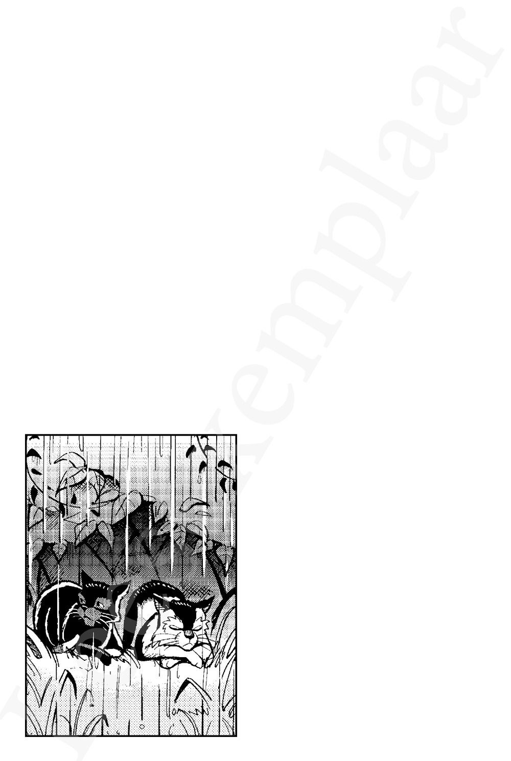 Preview: Warrior Cats - Manga: Ravenpoots pad - Verstoorde vrede