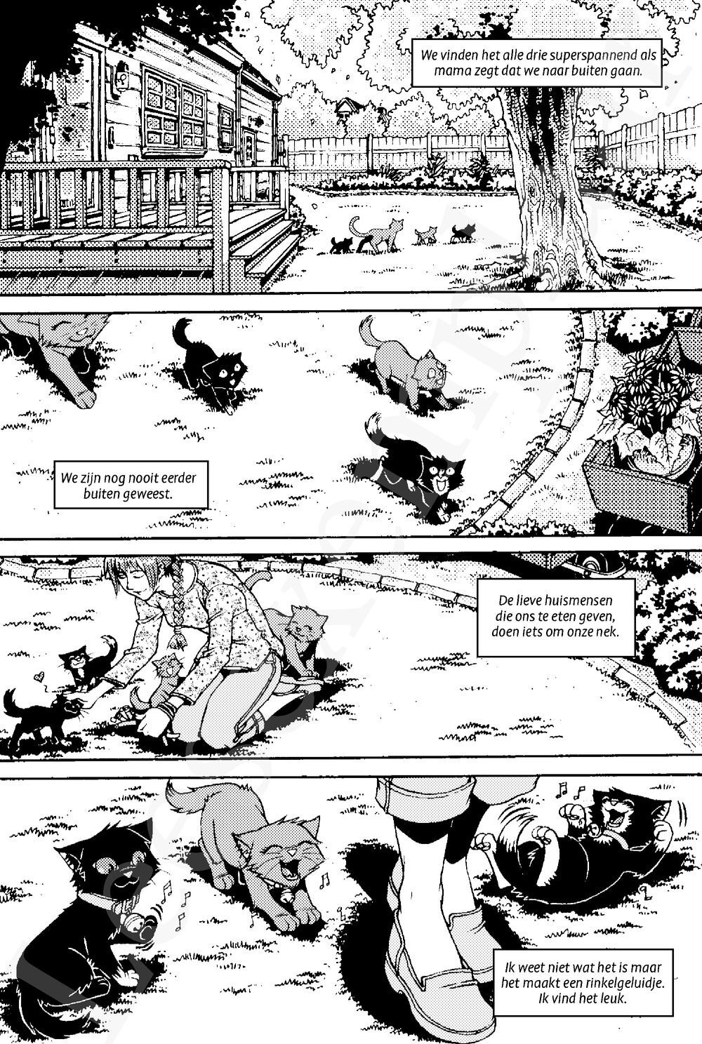 Preview: Warrior Cats - Manga: De opkomst van Schruk