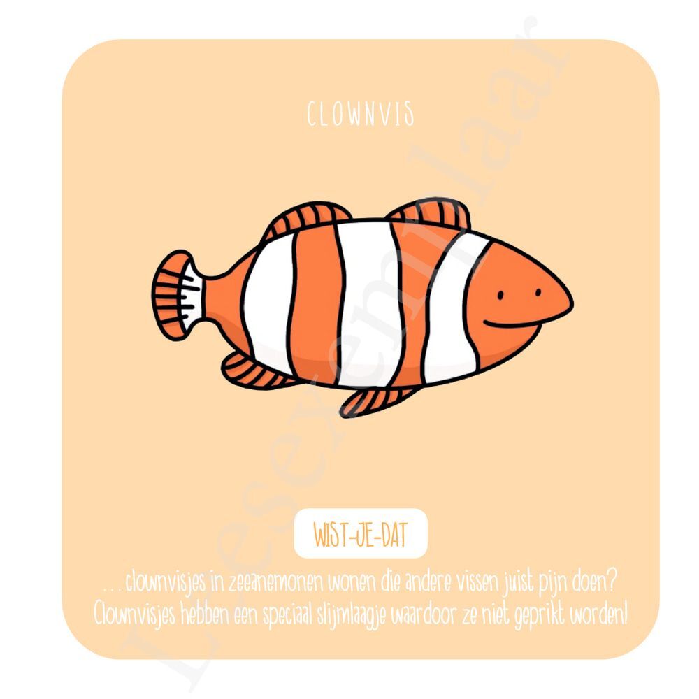 Preview: Ik teken de zomer